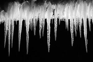 A Cluster of Icicles Hanging Against a Black Background photo