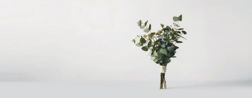 Elegant bouquet of fresh eucalyptus leaves on white background showcasing natural beauty for decor photo