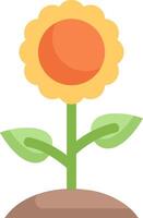 Sunflower illustration design vector