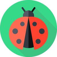 A ladybug icon on a green background vector