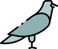 A pigeon is standing on a white background vector