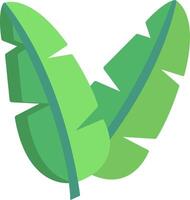 Banana leaf icon vector