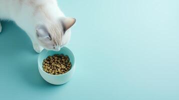 Cat eating kibble from a bowl on a blue background. top-down view showcasing healthy pet nutrition photo
