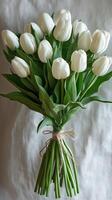 Elegant white tulip bouquet tied with twine on white background, natural beauty and simplicity photo