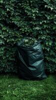 Garbage bag on green lawn. environmental pollution. cleanliness efforts. Park cleaning day. photo