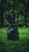 Garbage bag on green lawn. environmental pollution. cleanliness efforts. Park cleaning day. photo
