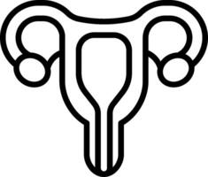The uterus is shown in a line drawing vector