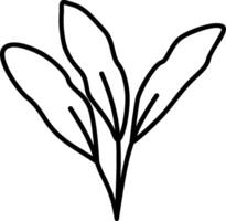 A black and white drawing of a leaf vector