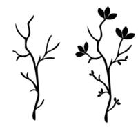 silhouette of a tree branch vector