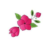 beautiful periwinkle art design vector