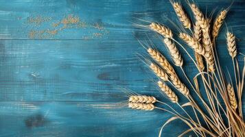 Wheat ears on blue wooden background photo