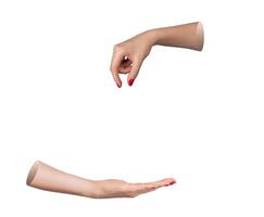 Hand donating in charity, open palm gesture to give and hold support. Volunteer helping poor and photo