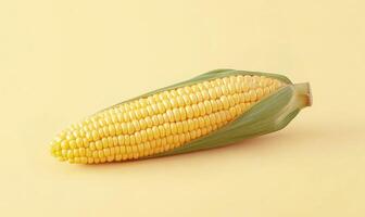 Fresh corn on the cob displayed against a yellow background in a bright, minimalist setting photo