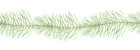 Seamless border of pine and fir branches. Illustration with watercolor and marker. Christmas background with evergreen plant. Hand drawn isolated art. Coniferous banner for the New Year with cedar png