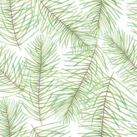 Seamless pattern of pine and fir branches. Christmas background with evergreen plant.Illustration with watercolor and marker. Hand drawn art. Nature print for the New Year with a cedar branch png
