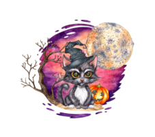 A black kitten in a witch hat sits under a tree and a pumpkin, at night, the moon is shining. Cat isolated from background. Witch's mystical familiar, Halloween tradition. For the design of cards, png