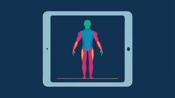 Tablet Display A sleek tablet screen shows a colorful outline of a human body with highlighted areas indicating abnormalities detected by the MRI scan.. vector
