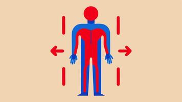 Thermal Scan and Circulation Indicators A fullbody illustration with red and blue areas accompanied by icons representing flow like arrows in regions that show heat anomalies. vector