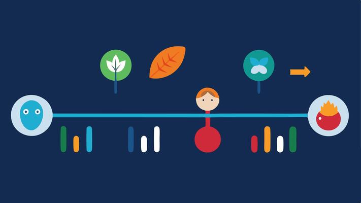 Timeline of Changes A timeline graphic showing a sequence from birth to adulthood highlighting environmental influences like diet and stress that modify the DNA markers over time..