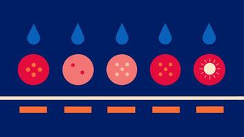 TimeLapse Effect A sequential illustration depicting the gradual improvement of skin texture and tone over several sessions of infrared light therapy.. vector