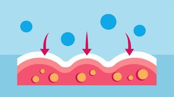 Skin Regeneration Illustration A visual representation of skin cells regenerating and becoming healthier and more vibrant under the influence of infrared light with arrows. vector