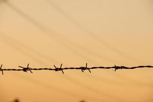 Silhouette of barbed wire in front of a glowing sunset sky, representing conflict, protection, and boundaries photo