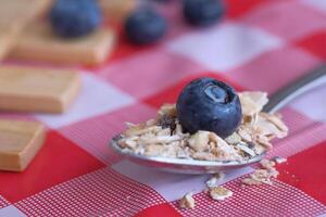 A Tasty and Nutritious Breakfast Spoon Filled with Oats and Freshly Picked Blueberries photo