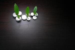 The Growth of Investment Leaves and Coins That Symbolize Prosperity and Abundance in Life photo