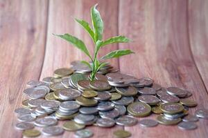 Growth and Prosperity A Vibrant Plant Emerging from a Pile of Shimmering, Golden Coins photo