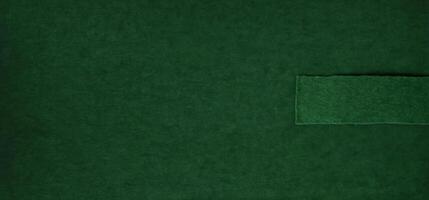 Simple and seamless dark green felt texture, ideal for use as a background, fabric display, or design overlay. photo