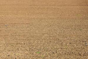 Freshly plowed dry soil on a farmland field, ready for planting or cultivation. Ideal for agricultural and farming concepts. photo
