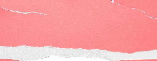 Close-up of pink paper with a clean white torn edge, perfect for backgrounds, design elements, or scrapbook projects. photo
