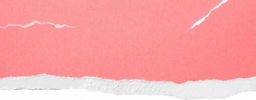 Close-up of pink paper with a clean white torn edge, perfect for backgrounds, design elements, or scrapbook projects. photo