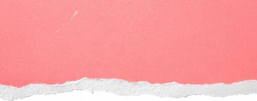 Close-up of pink paper with a clean white torn edge, perfect for backgrounds, design elements, or scrapbook projects. photo