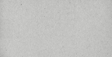 Light gray recycled paper texture, ideal for backgrounds in design, packaging, and eco-friendly projects. photo