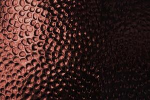 Abstract close-up of a copper-textured surface with circular patterns. photo