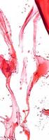 Dynamic splash of red liquid in midair on a white background, creating fluid and abstract shapes. photo