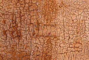 Close-up of cracked and peeling paint on a wooden surface, ideal for backgrounds or concepts of decay and aging. photo