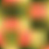A blurry image of a green and yellow background vector