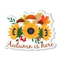 Sticker with autumn maple and sunflower, acorns, rowan, mushrooms on white background. vector