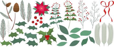 Christmas set of leaves, fir branches, berries on the branches, fir cones, poinsettia flower and red bow vector