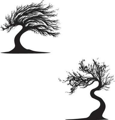 Silhouette of tree with curved branches black and white