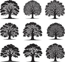 Tree silhouettes set of oak, beech, elm, ash, maple, oak, vector