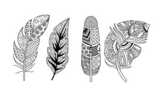 Artistically drawn feathers set, vintage, tribal, stylized feathers, pattern for coloring page Illustration on a white background vector