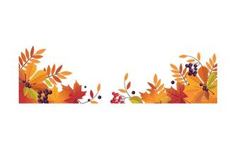 Autumn background with space for text, banner with bright autumn chokeberry, rowan, maple leaves and berries Illustration vector