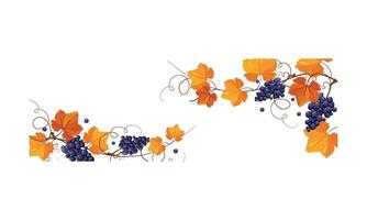 Autumn background with space for text, banner with bright grape leaves and bunches of grapes Illustration vector