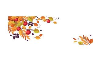 Autumn abstract background with space for text, banner with bright autumn leaves and berries Illustration vector