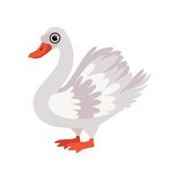 Beautiful swan bird Illustration on a white background vector