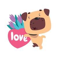 Funny Pug dog with bouquet of flowers and pink heart, cute Valentine animal character Illustration vector