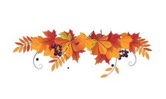 Autumn background with space for text, banner with bright autumn chokeberry, rowan and maple leaves Illustration vector